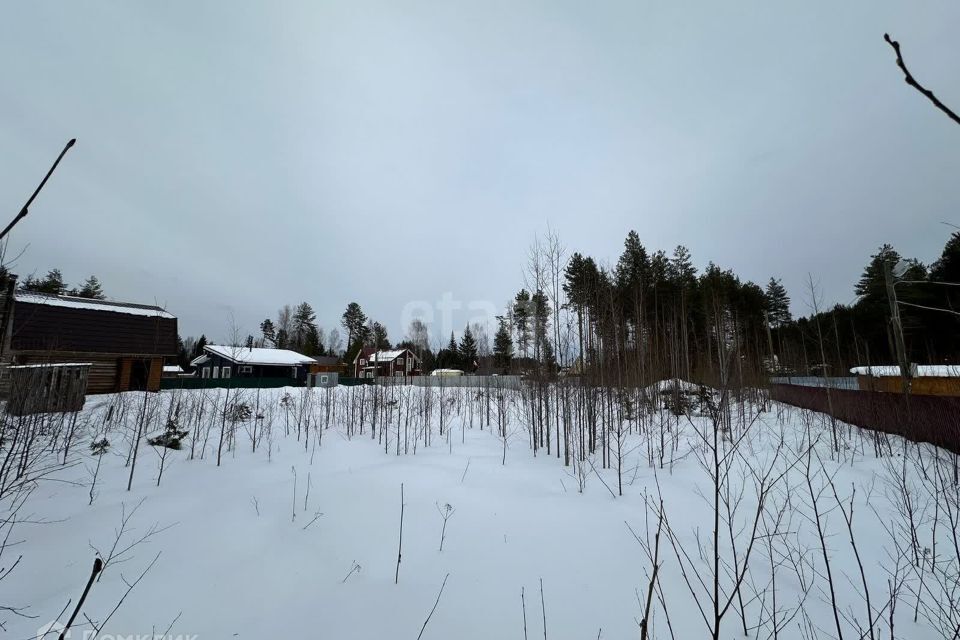 земля г Сыктывкар Сыктывкар городской округ, СНТ Лазурное фото 10