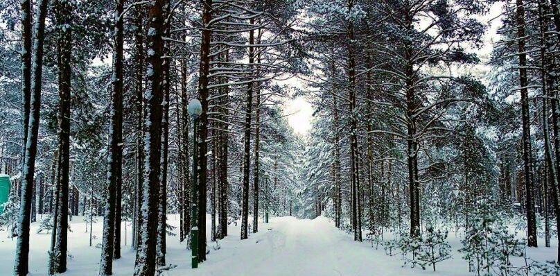 дом р-н Селижаровский нп Турбаза "Чайка" ул Лесная фото 42