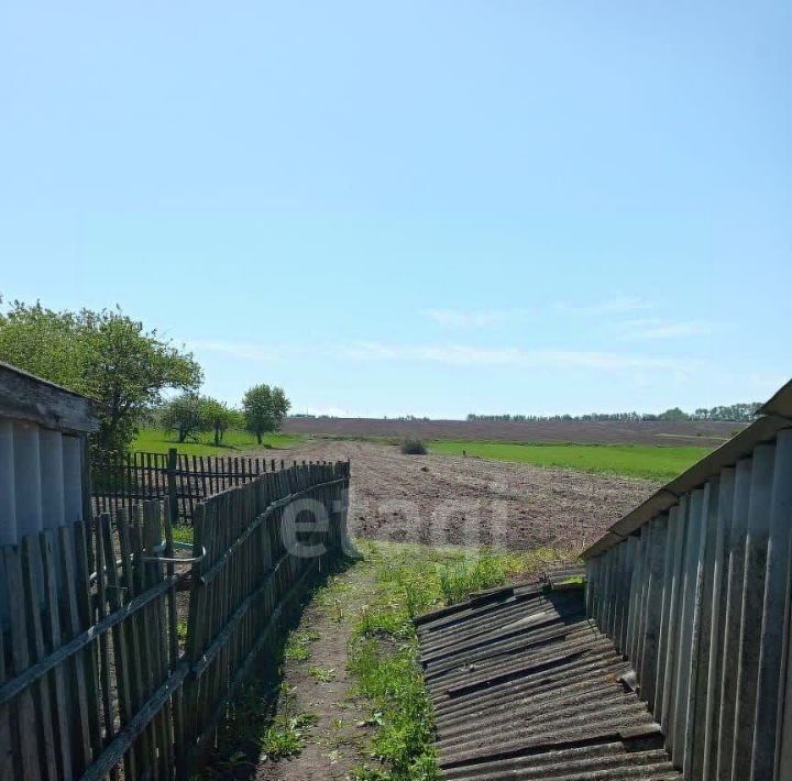 дом р-н Новооскольский с Киселевка ул Центральная фото 12