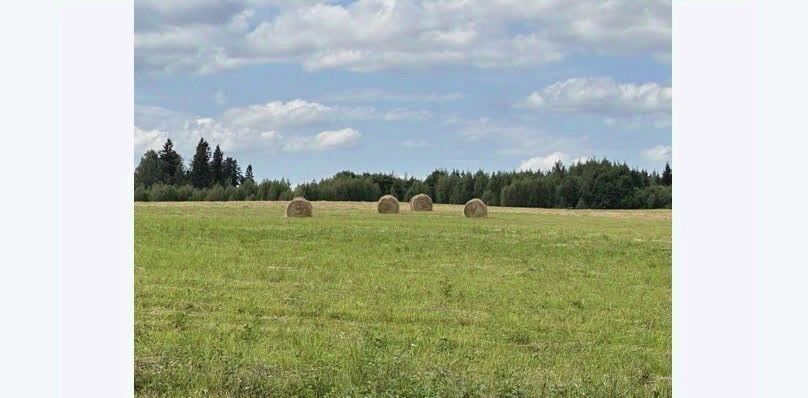 дом городской округ Сергиево-Посадский 41Д, д. Напольское фото 31