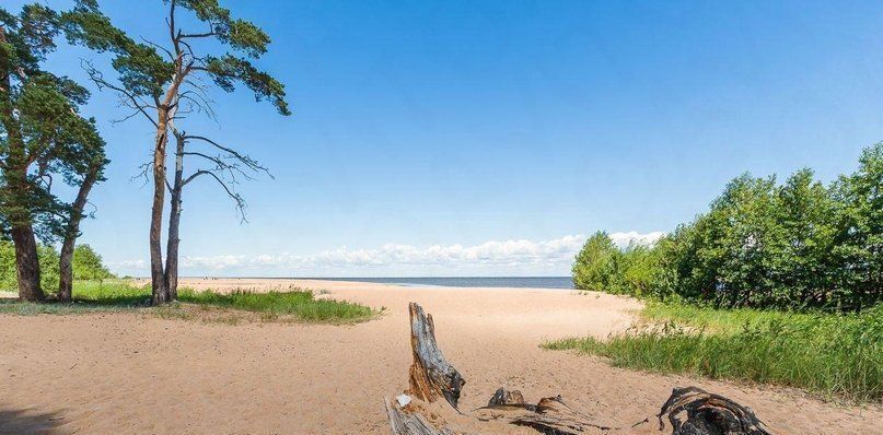 дом Большеижорское городское поселение, 31, Ломоносовский район, Виктория СНТ фото 20