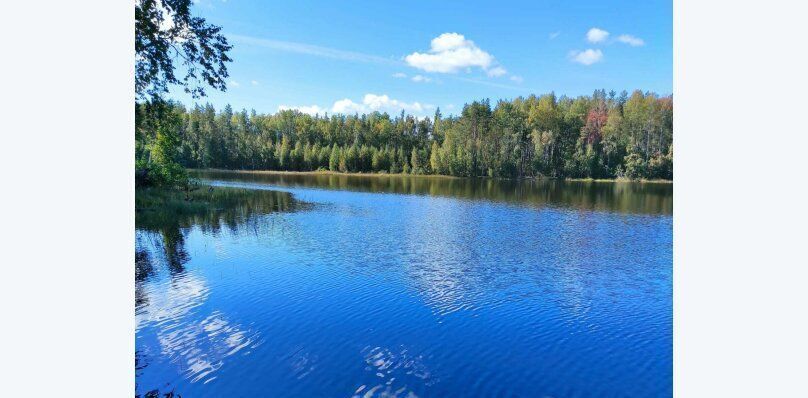 дом р-н Лахденпохский п Сикопохья Мийнальское с/пос фото 30