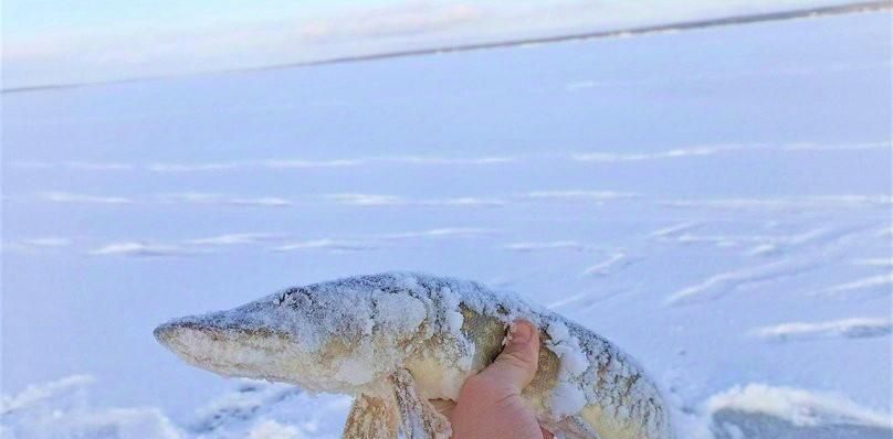 дом р-н Селижаровский нп Турбаза "Чайка" фото 37