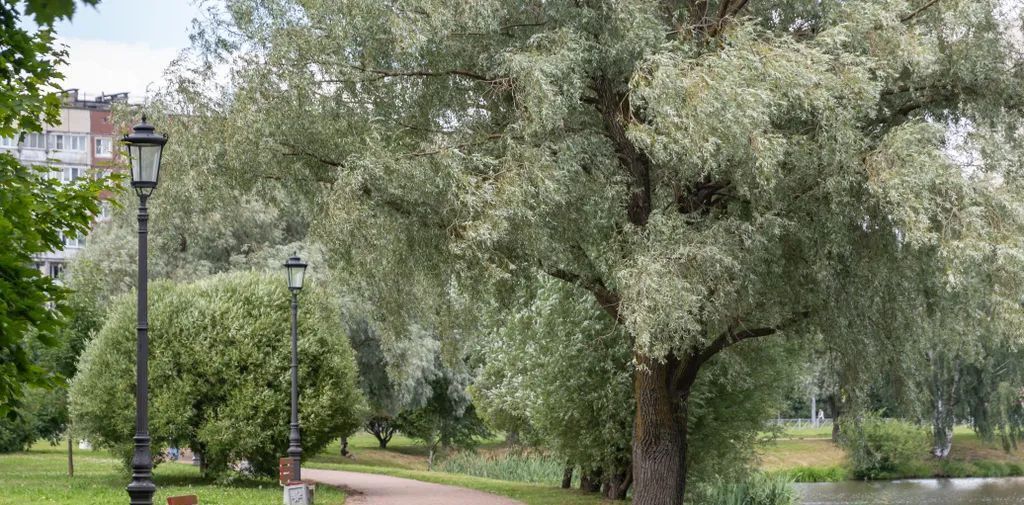 квартира г Санкт-Петербург метро Проспект Большевиков ул Передовиков 25 фото 11