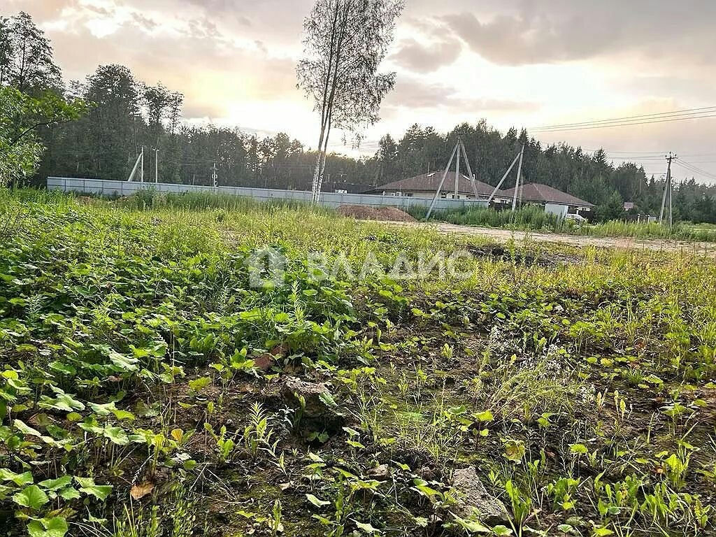 земля городской округ Щёлково д Шевелкино Шевелкино д. Каштановая ул фото 7