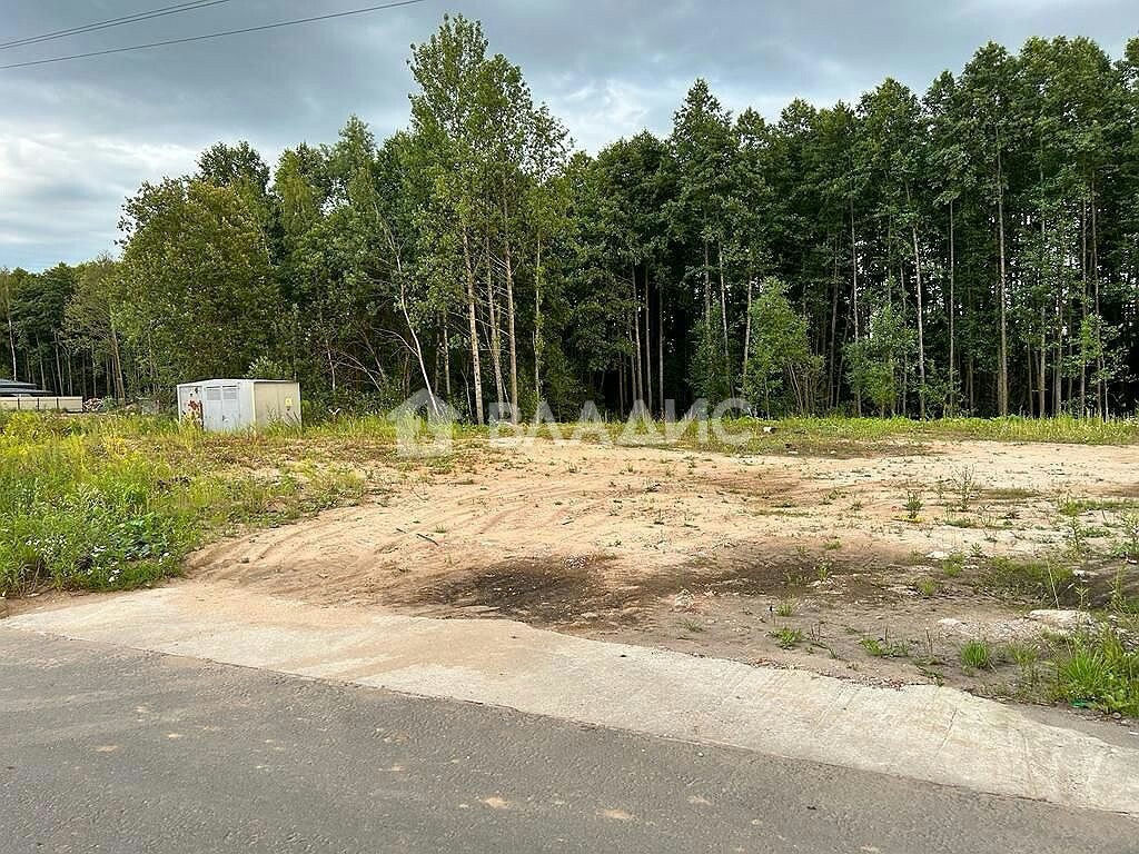 земля городской округ Щёлково д Шевелкино Шевелкино д. Каштановая ул фото 8