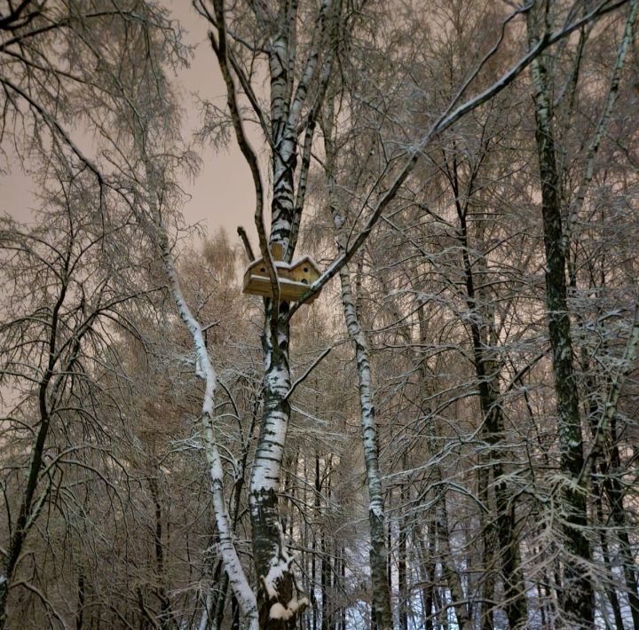 дом городской округ Серпухов д Правое Ящерово ул Садовая фото 11