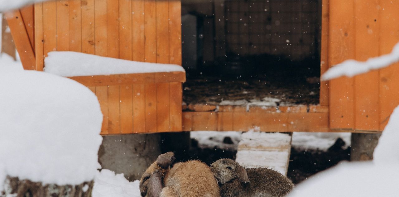 дом городской округ Талдомский д Коришево фото 30