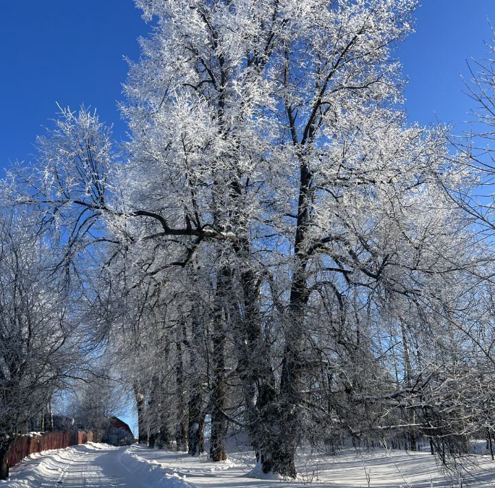 дом городской округ Дмитровский д Чеприно фото 47