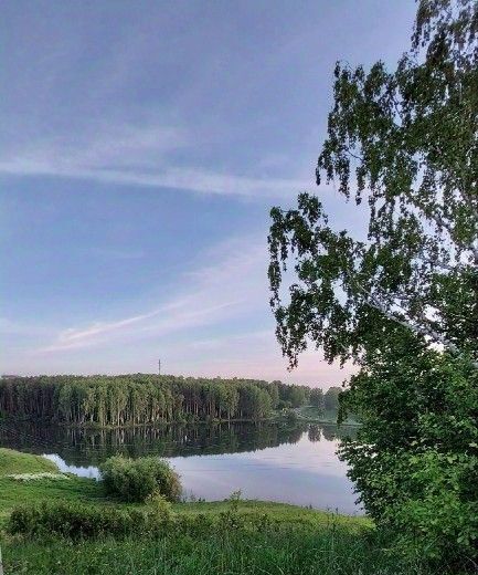 дом р-н Томский с Богашево ул Садовая 10 Богашевское с/пос фото 2