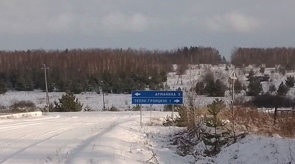 земля р-н Дальнеконстантиновский с Тепло-Троицкое ул Центральная фото 1