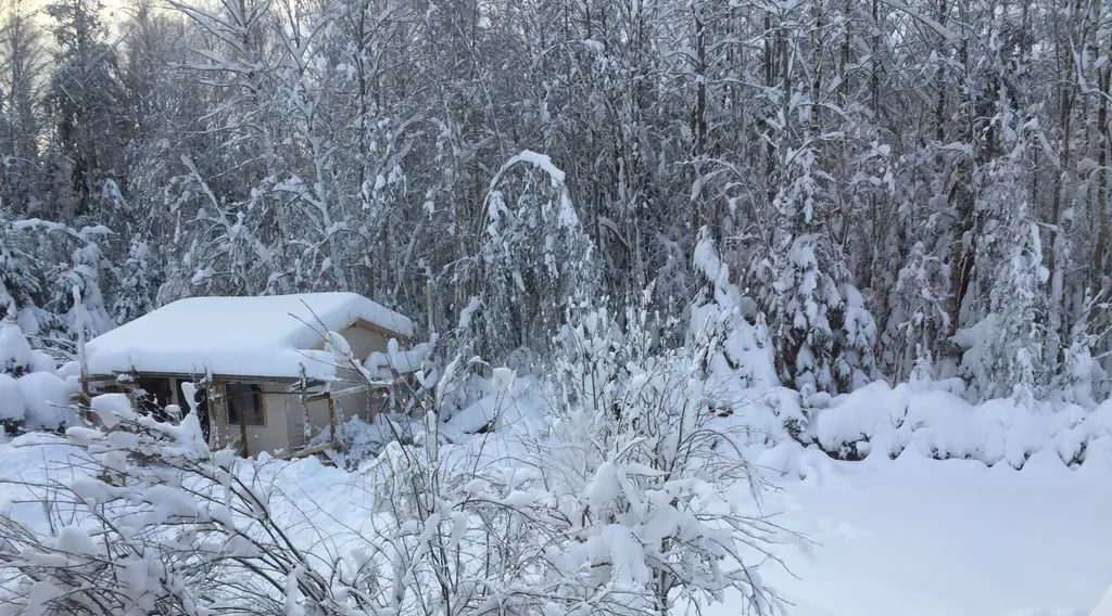 дом р-н Кировский снт Ягодное Рощинское городское поселение, 131, Выборгский район фото 20