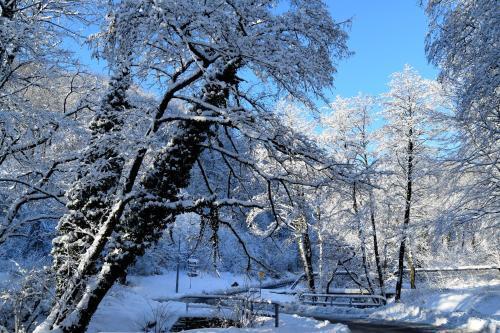 дом г Сочи р-н Адлерский с Эстосадок ул Березовая 134 фото 30