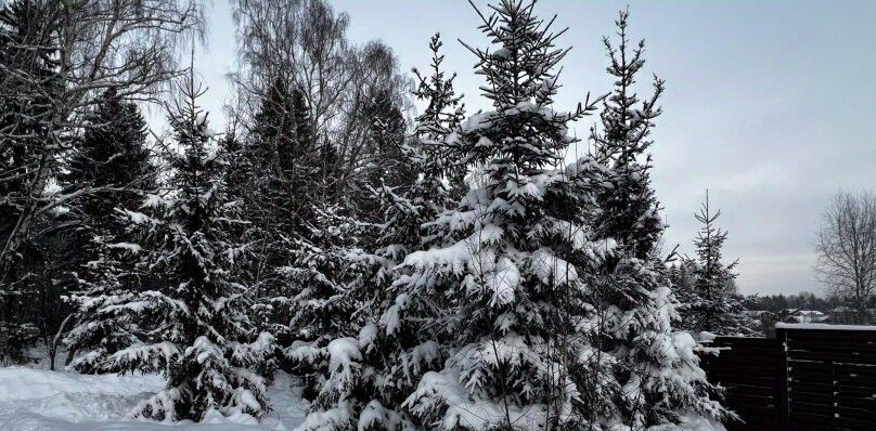 дом городской округ Истра д Родионцево фото 6