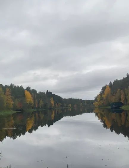 дом р-н Олонецкий п Ильинский ул Старозаводская 8в фото 19