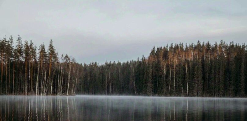 дом р-н Лахденпохский г Лахденпохья фото 27