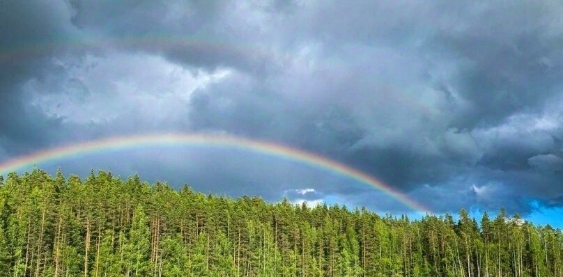 дом р-н Лахденпохский г Лахденпохья фото 27