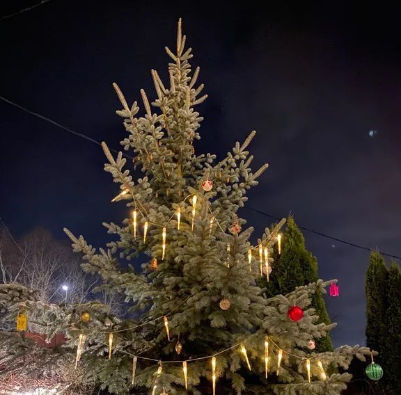 дом р-н Новгородский д Чечулино ул Центральная 30 Трубичинское с/пос фото 4