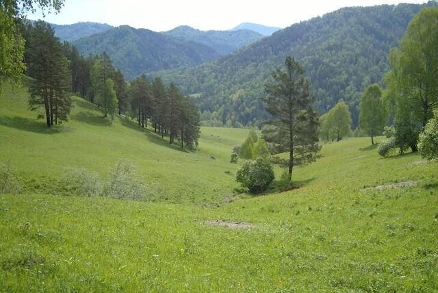 Республика Северная Осетия — Алагирский р-н, Алагир фото