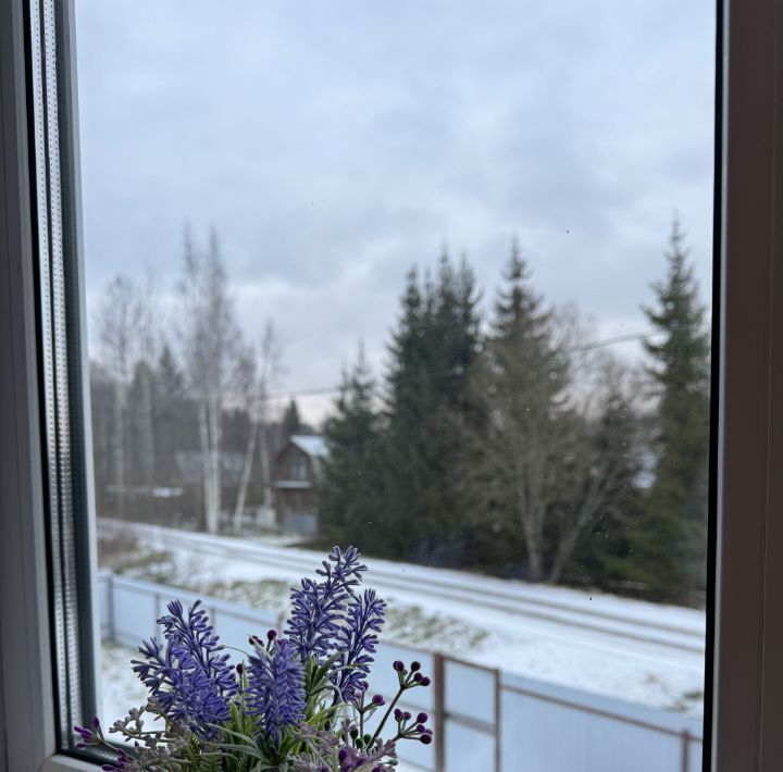 дом р-н Новгородский д Пятница ул Новгородская Савинское с/пос фото 24