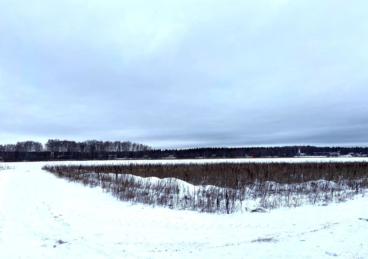 земля городской округ Раменский д Верея 14 км, Быково, Быковское шоссе фото 4