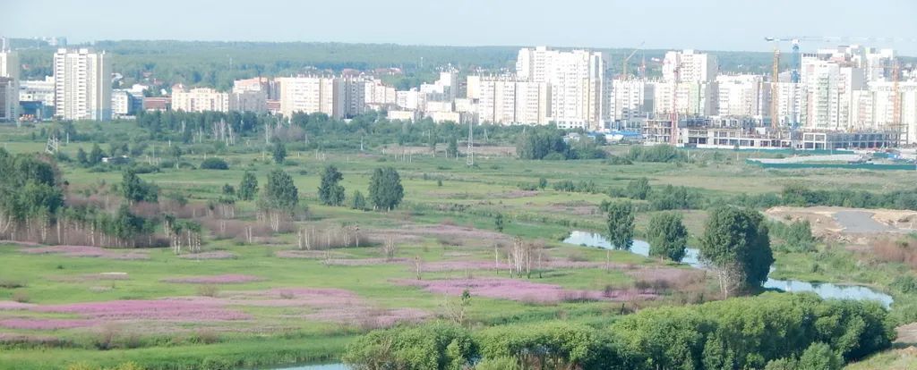 квартира г Челябинск р-н Калининский ул Университетская Набережная 63 фото 10