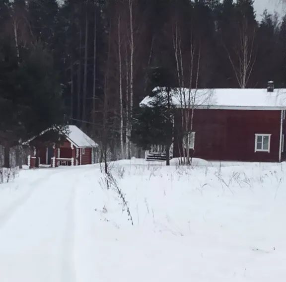 дом р-н Выборгский п Михалево пр-д Озёрный 10 Каменногорское городское поселение фото 7