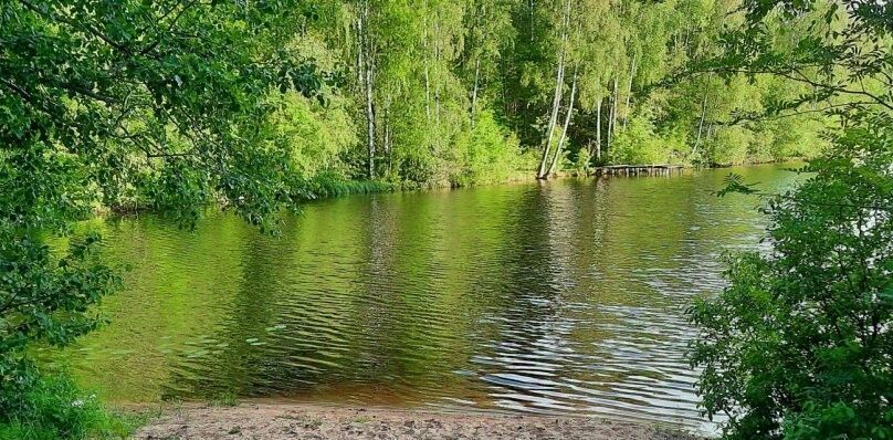 дом р-н Всеволожский снт Защита Токсовское городское поселение фото 10