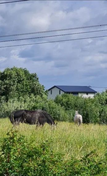 дом р-н Ломоносовский д Алакюля ул Холмистая 7 Аннинское городское поселение фото 8