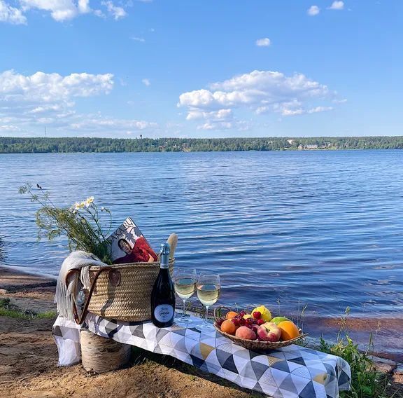 дом р-н Приозерский д Бережок Раздольевское с/пос, 30 фото 29