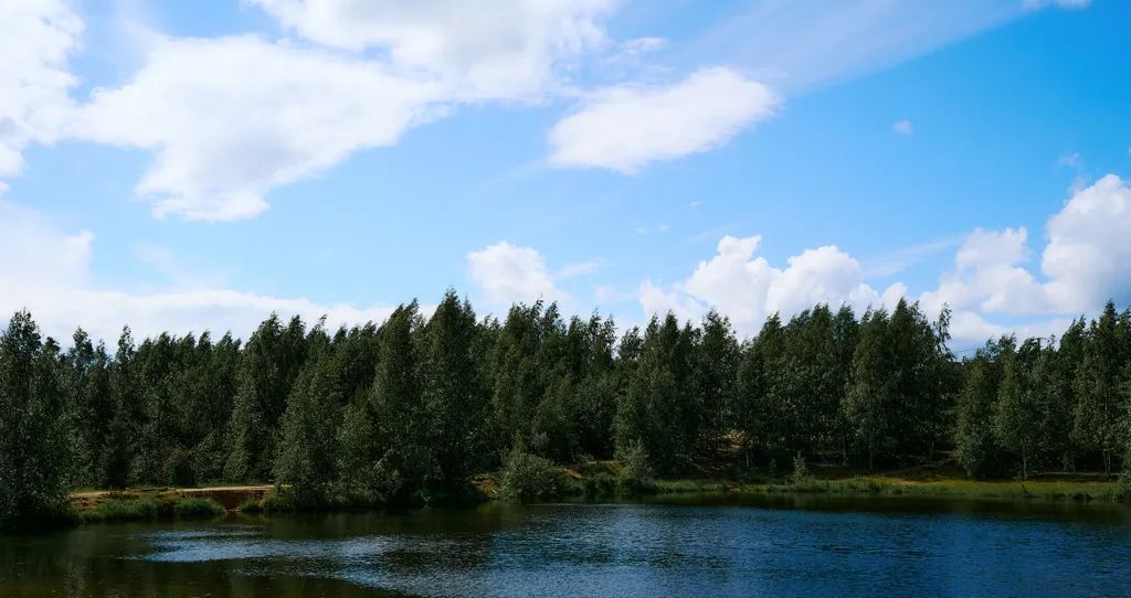 дом р-н Тихвинский снт Заречное Сертоловское городское поселение, ул. Аллейная, 176, Всеволожский район фото 33