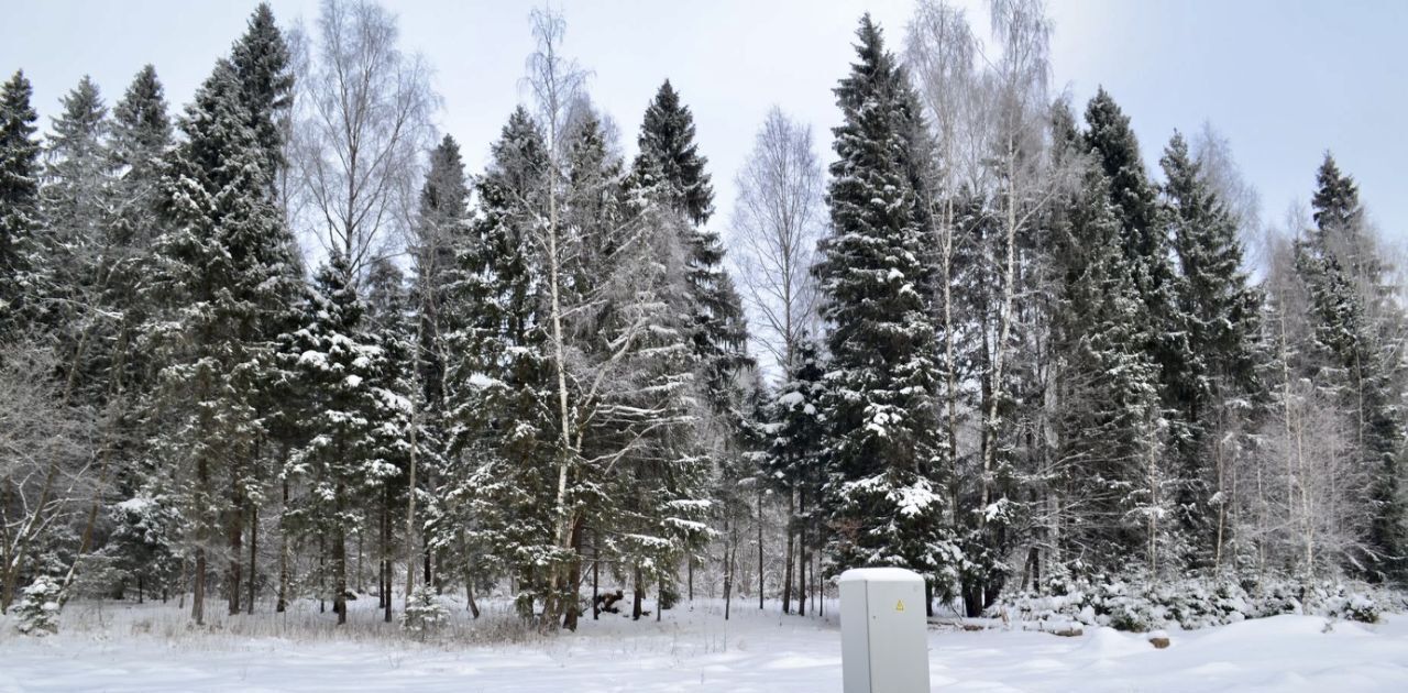 земля г Химки д Голиково Подрезково, ул. Лесная фото 1