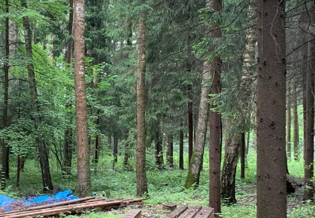 земля городской округ Раменский п Гжелка ул Запрудная 8 33 км, Дубовая Роща, Егорьевское шоссе фото 4