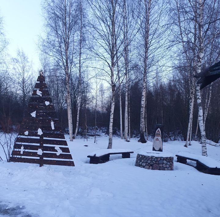 дом р-н Валдайский г Валдай ул Лесная 14 фото 14