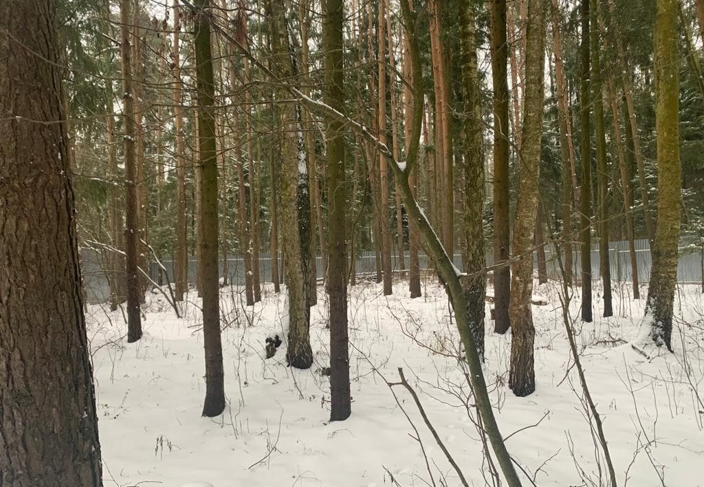 земля городской округ Раменский п Гжелка ул Запрудная 8 33 км, Дубовая Роща, Егорьевское шоссе фото 9