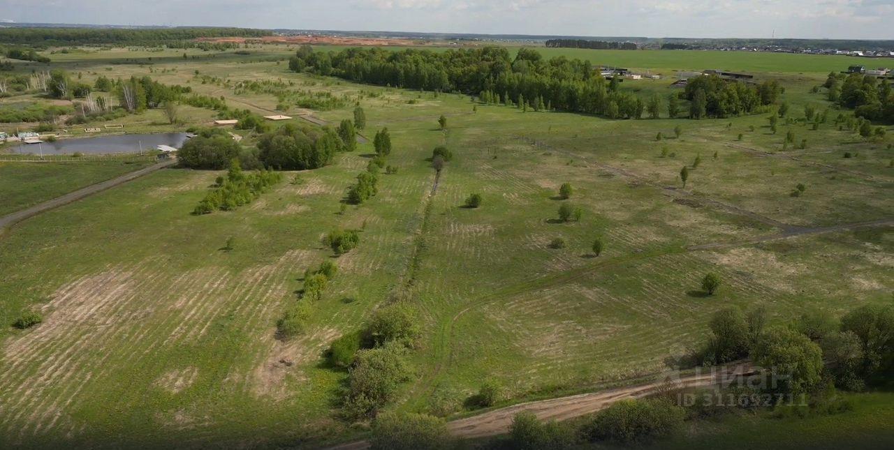 земля городской округ Раменский с Кривцы фото 9