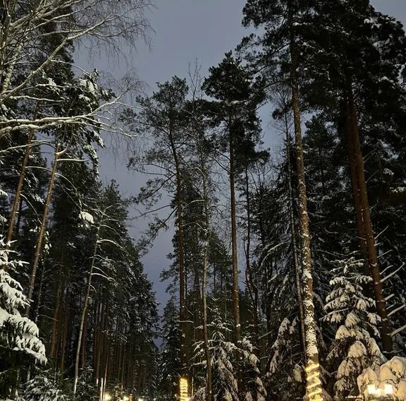 квартира р-н Всеволожский д Мистолово пр-д Спортивный 21 Бугровское городское поселение фото 31