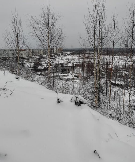 земля г Ухта садово-огородническое товарищество Геолог-69 фото 1