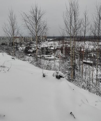 садово-огородническое товарищество Геолог-69 фото