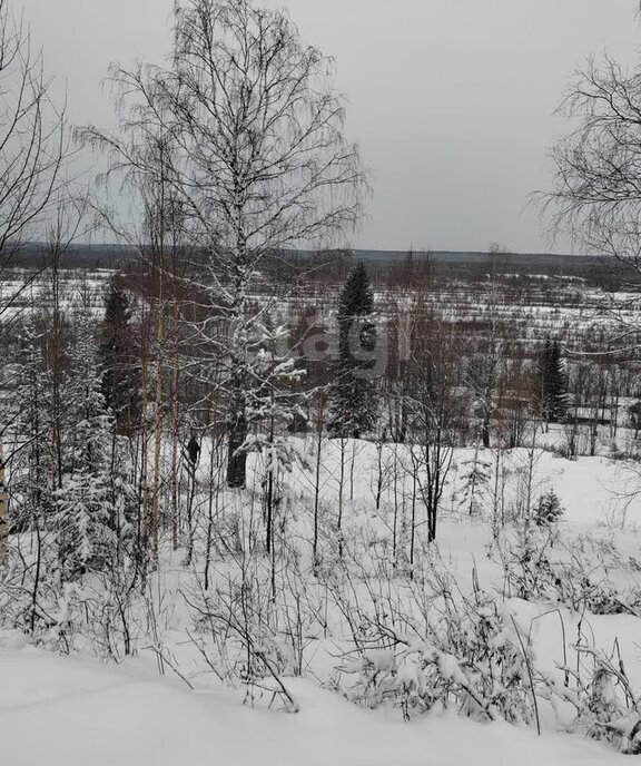 земля г Ухта садово-огородническое товарищество Геолог-69 фото 2