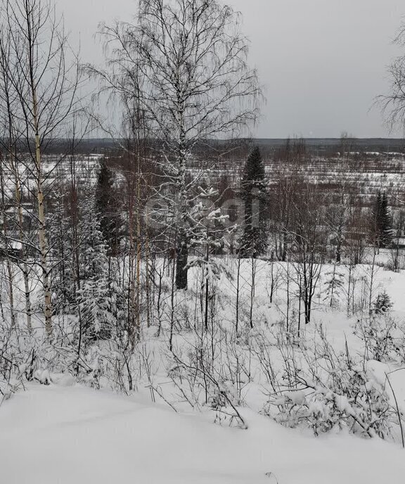 земля г Ухта садово-огородническое товарищество Геолог-69 фото 3