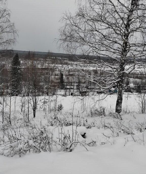 земля г Ухта садово-огородническое товарищество Геолог-69 фото 4