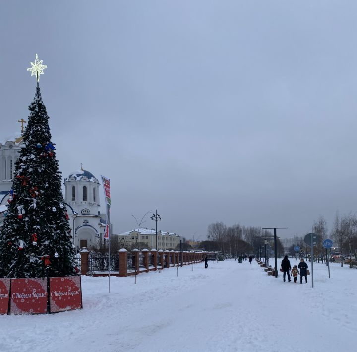 квартира г Москва метро Бибирево ул Костромская 12 фото 22