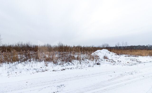 тер ДНТ Приозерное Тюневское сельское поселение, Нижнетавдинский р-н фото