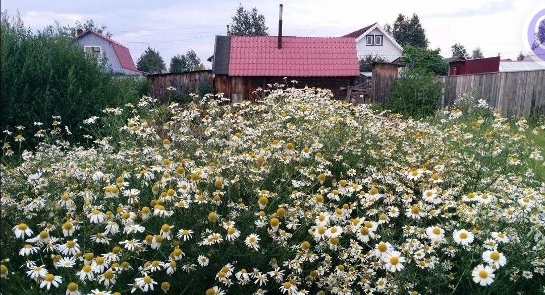 дом р-н Сургутский снт Победит-2 ул 5б 13 Сургутского муниципального района тер., потребительский садово-огороднический кооператив фото 9