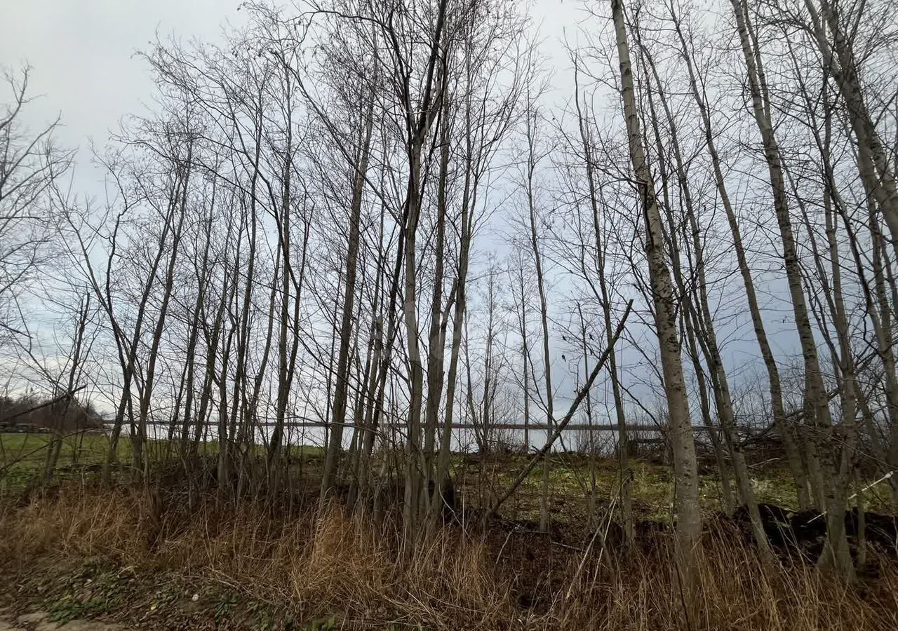 земля г Архангельск тер. ТСН Малое Никольское Архангельск, р-н Цигломенский фото 7