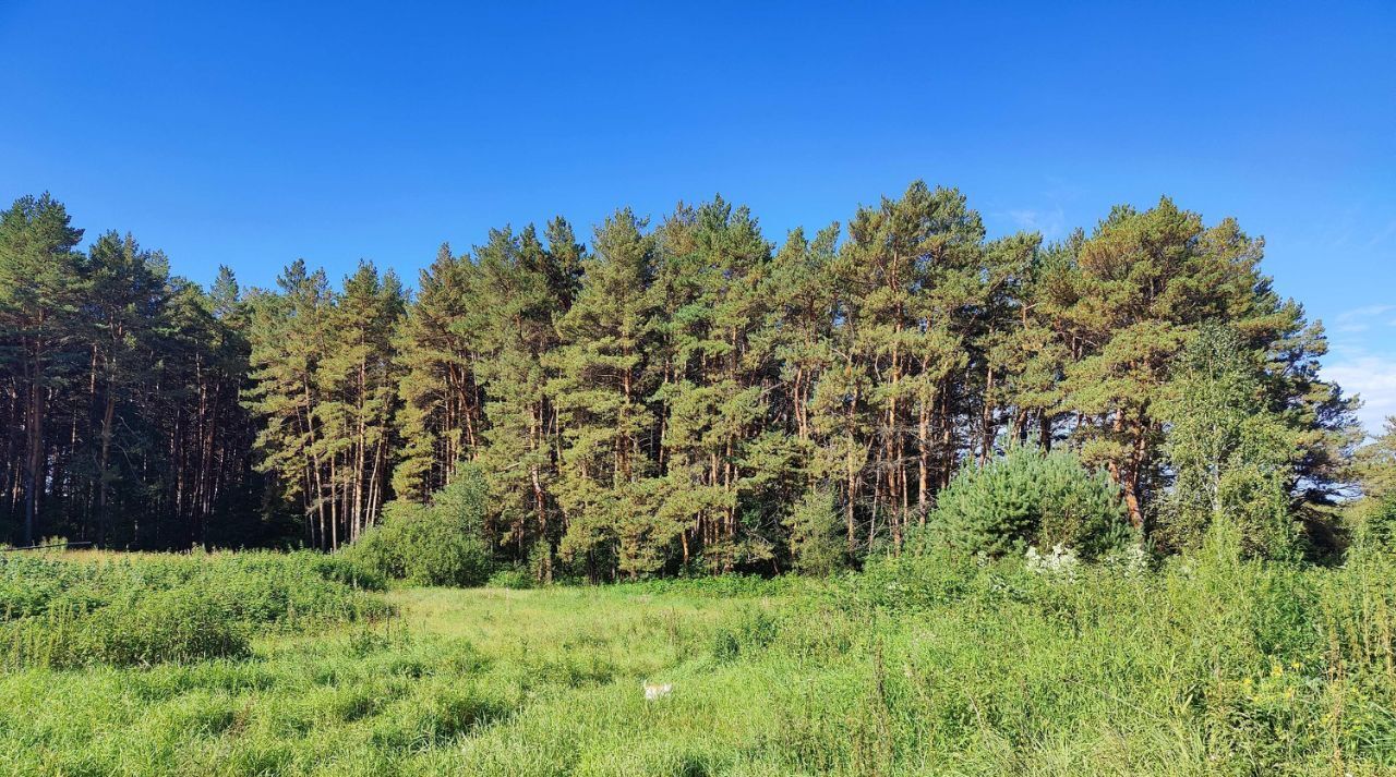 земля р-н Муромцевский рп Муромцево ул Октябрьская фото 1