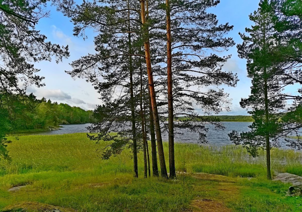 земля г Сортавала п Ниэмелянхови Сортавальский муниципальный округ фото 4