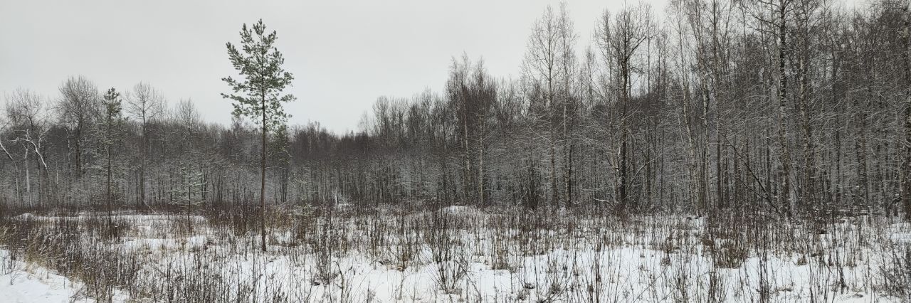 земля р-н Ломоносовский Виллозское городское поселение, с. Массив Офицерское, Проспект Ветеранов, ул. Морская фото 3