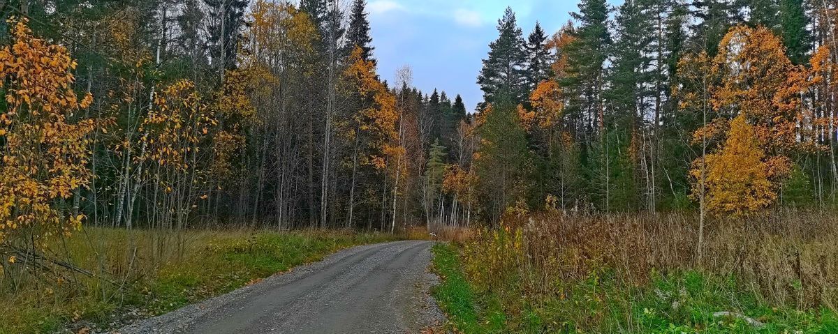 земля г Сортавала п Ниэмелянхови Сортавальский муниципальный округ фото 7